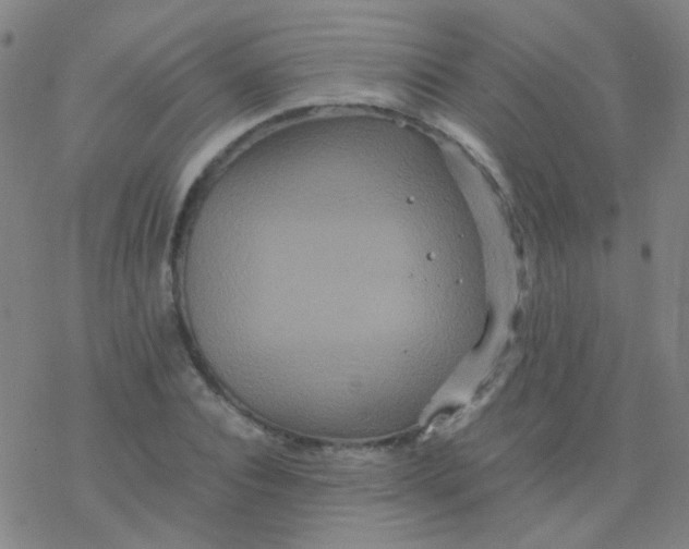 X0000076450928200610271820