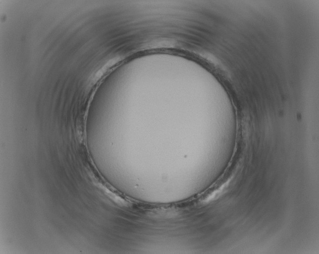 X0000076450929200610271820