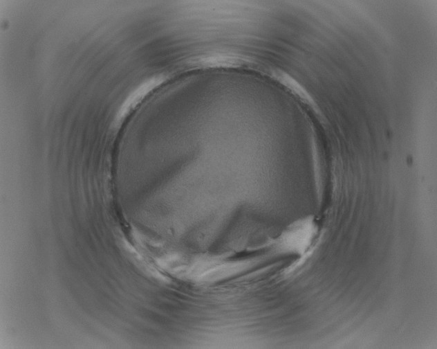 X0000076450930200610271820