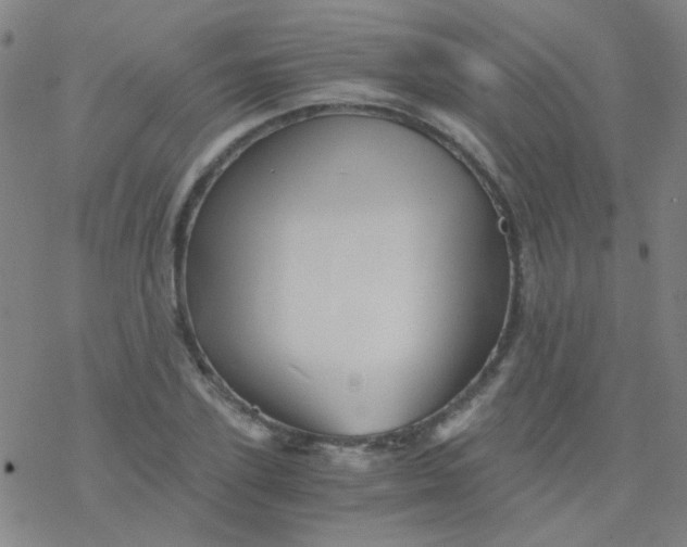 X0000076450931200610271820