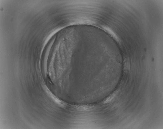 X0000076450932200610271820