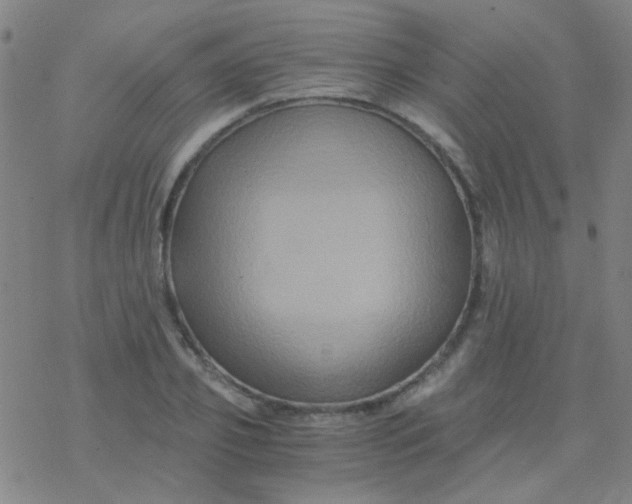 X0000076450933200610271820