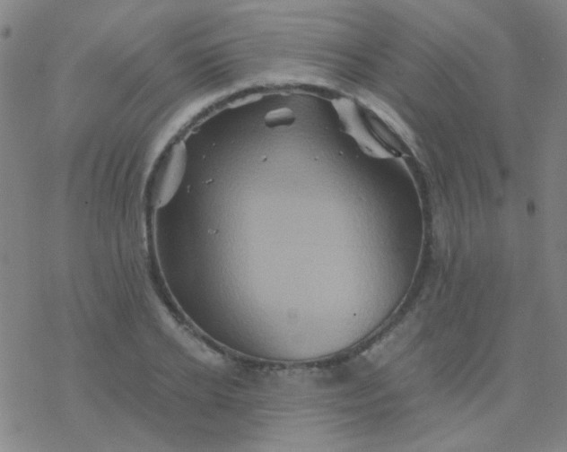 X0000076450934200610271820