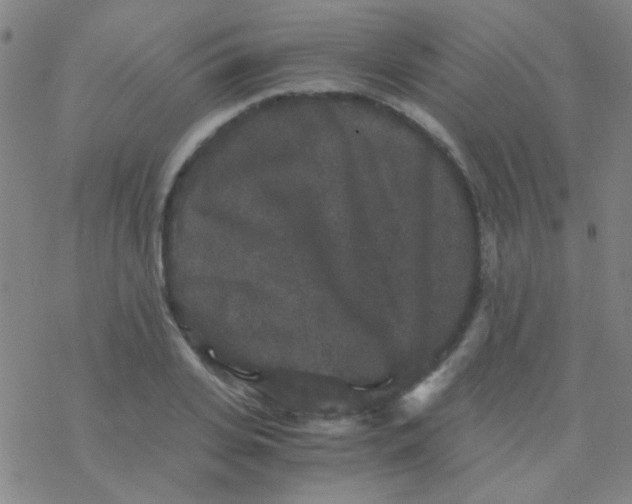 X0000076450935200610271820