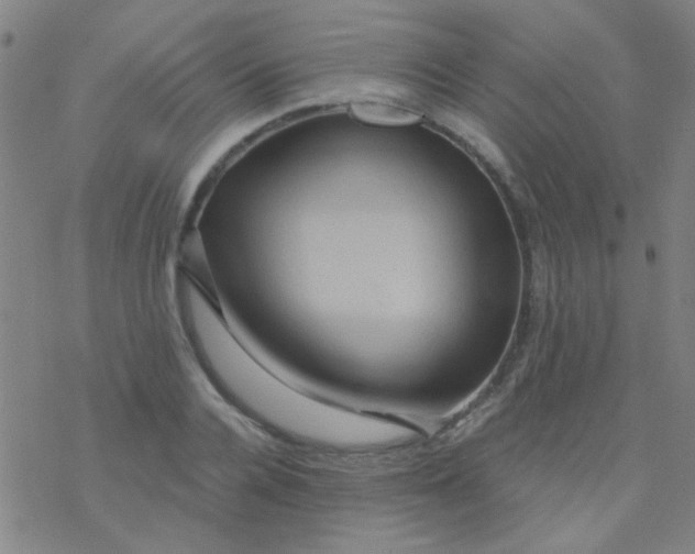 X0000076450936200610271820