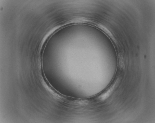 X0000076450939200610271820