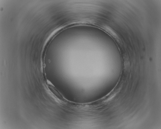 X0000076450940200610271820