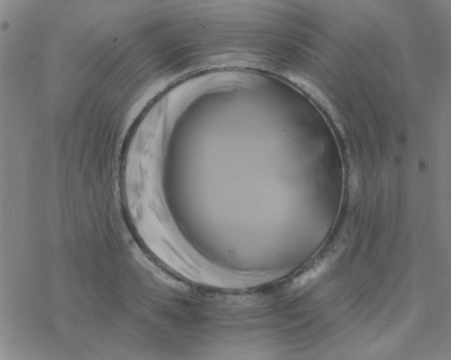 X0000076450941200610271820