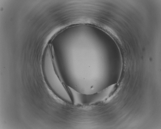 X0000076450942200610271820