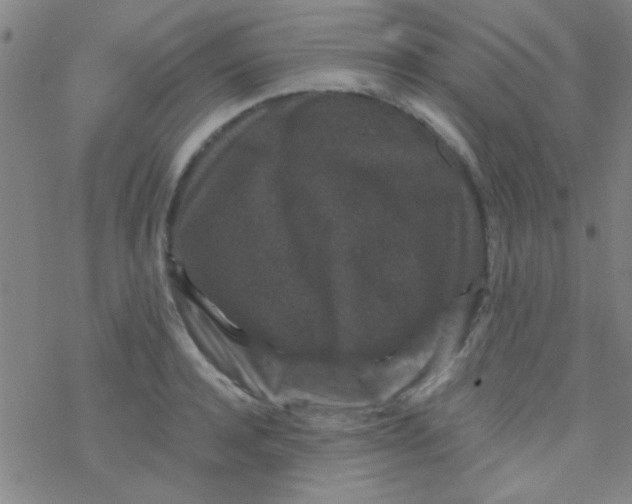 X0000076450944200610271820