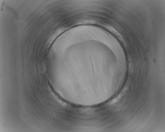 X0000076450945200610271820