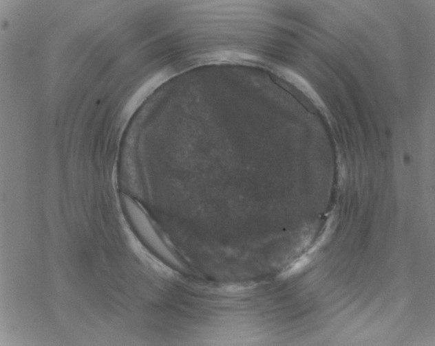 X0000076450946200610271820