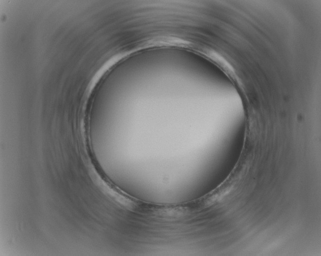 X0000076450947200610271820