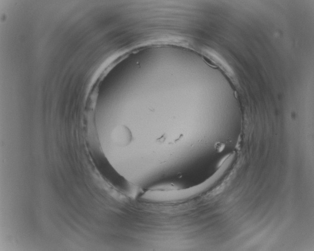 X0000076450948200610271820