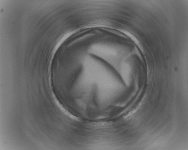 X0000076450949200610271820