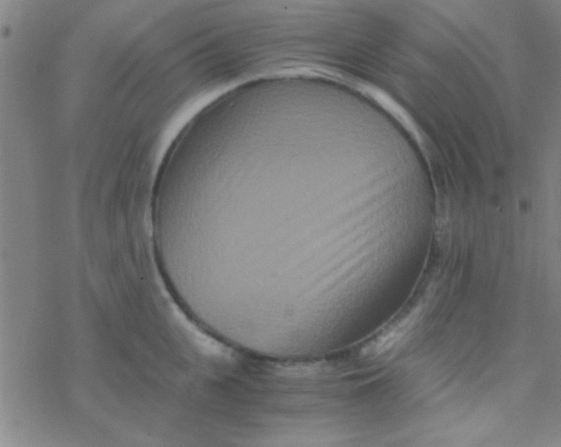 X0000076450951200610271820