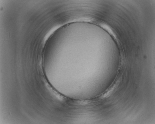 X0000076450952200610271820