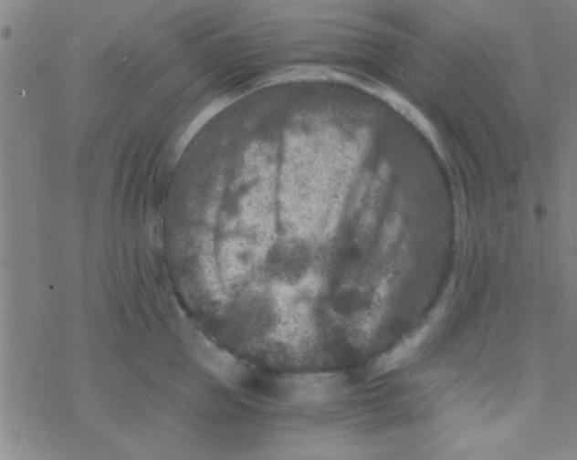 X0000076450953200610271820