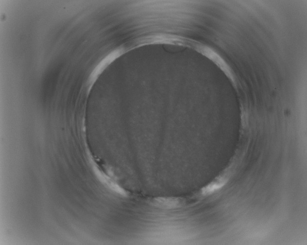 X0000076450954200610271821