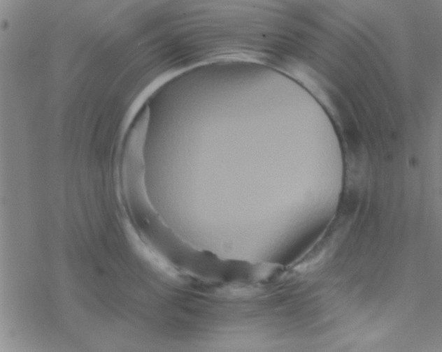 X0000076450955200610271821