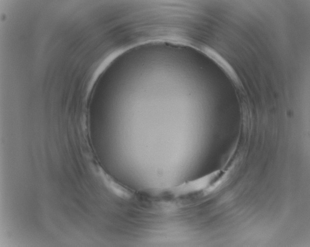 X0000076450956200610271821