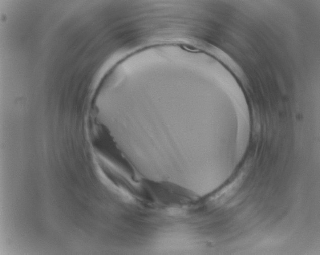 X0000076450958200610271821