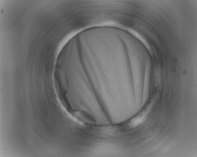 X0000076450959200610271821