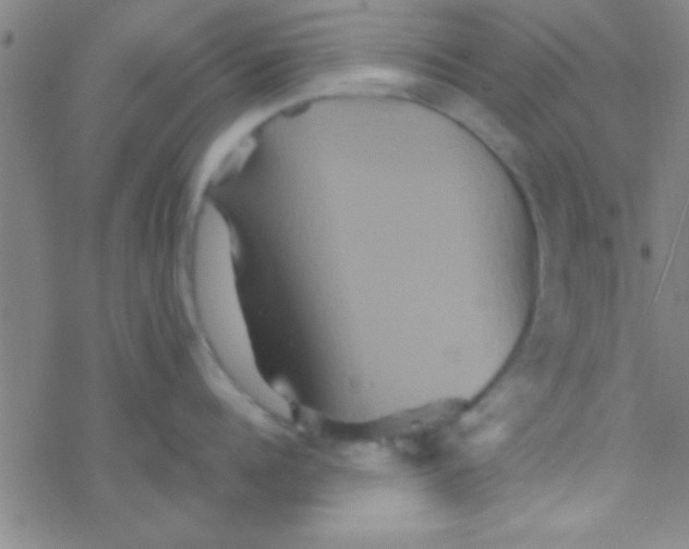 X0000076450960200610271821