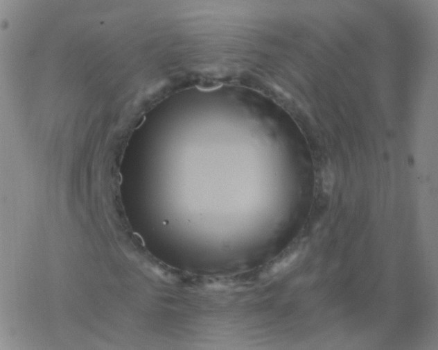 X0000076450961200610271820