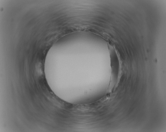 X0000076450962200610271820