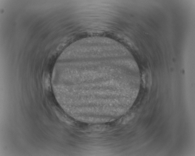 X0000076450963200610271820