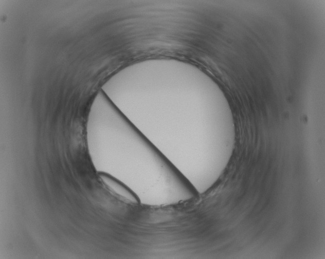 X0000076450964200610271820