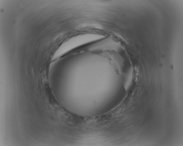 X0000076450965200610271820