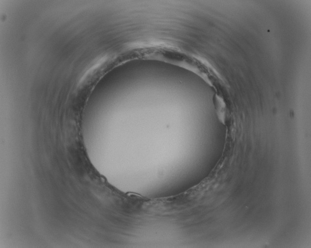 X0000076450967200610271820