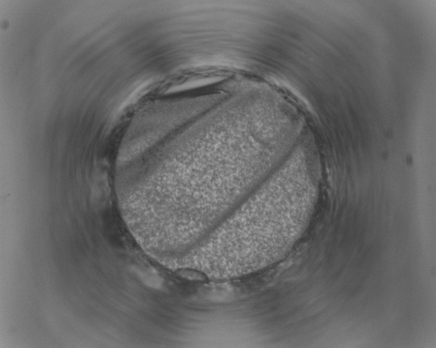 X0000076450968200610271820