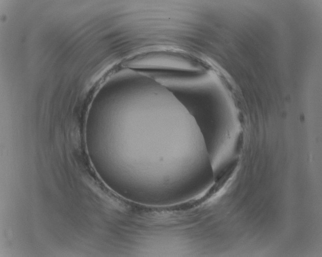 X0000076450969200610271820