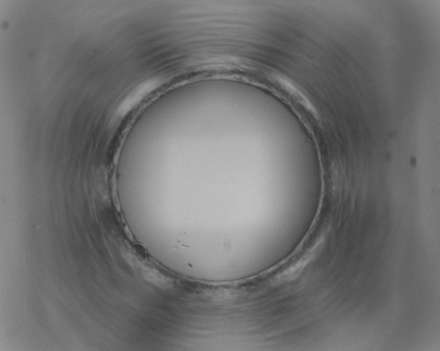 X0000076450970200610271820