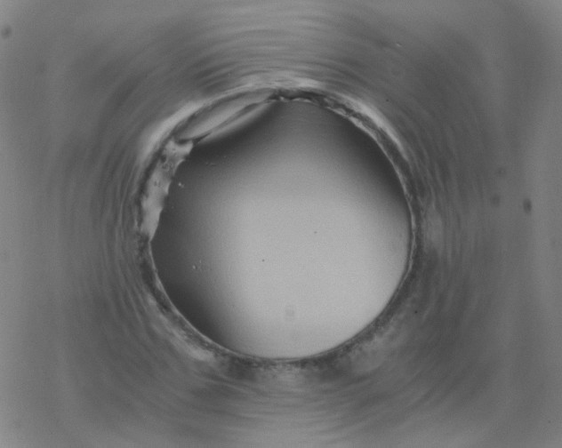 X0000076450971200610271820