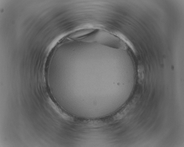 X0000076450972200610271820