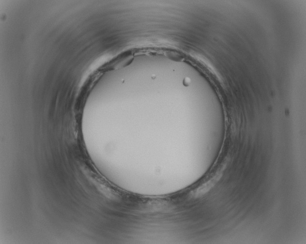 X0000076450974200610271820