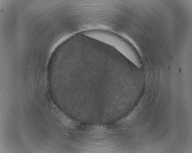 X0000076450975200610271820