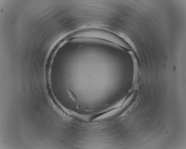 X0000076450976200610271820