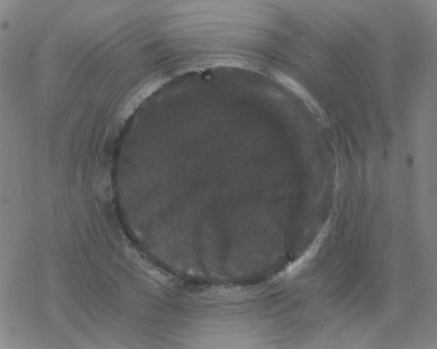 X0000076450977200610271820