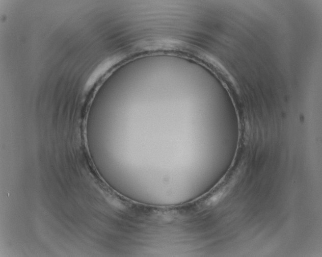 X0000076450978200610271820