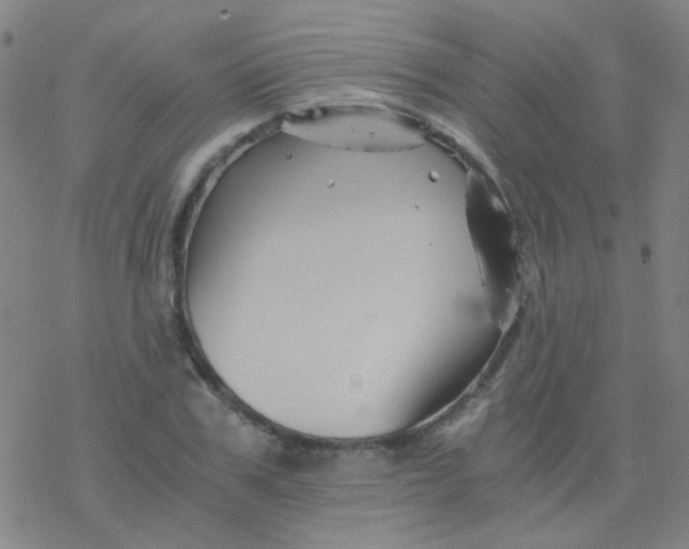 X0000076450979200610271820