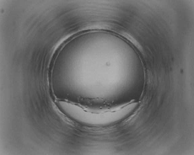 X0000076450980200610271820