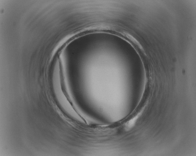 X0000076450981200610271819