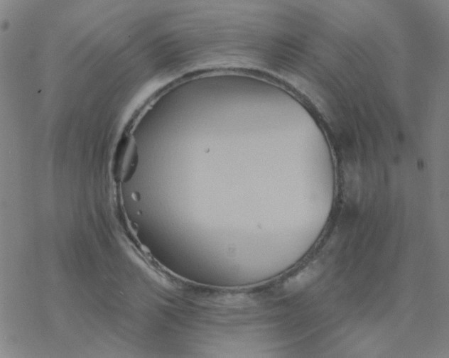 X0000076450982200610271819