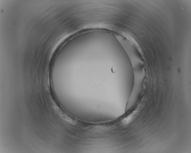 X0000076450984200610271819