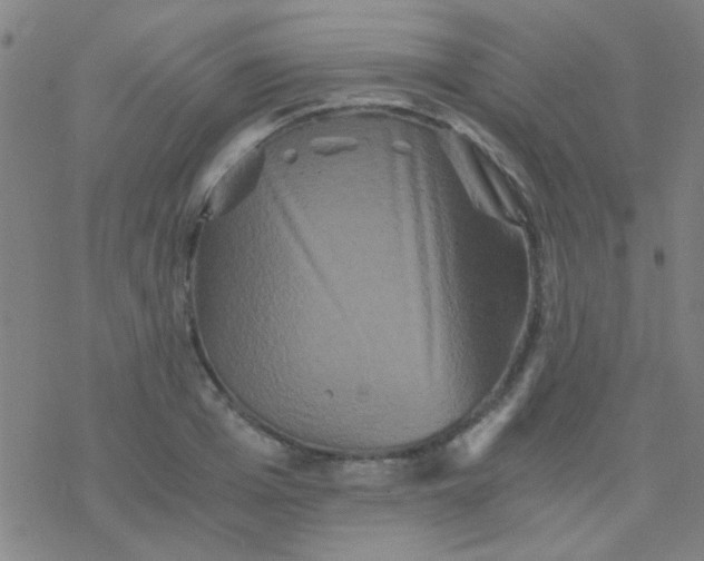 X0000076450985200610271819